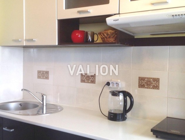 1к квартира с ремонтом Ломаковская (Мичурина), 2, Центр, Печерск, м. Зверинецкая (Др.народов)