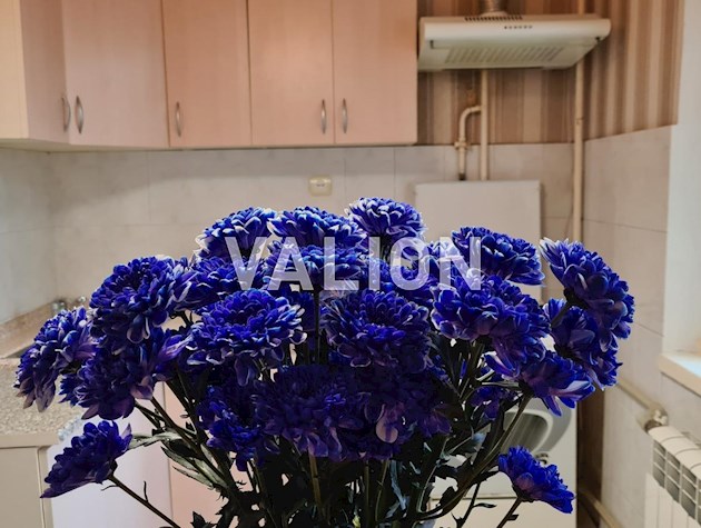 Продажа: Однокомнатная квартира просп. Червоной Калины (Маяковского) 32Д ТРЦ Фестивальный, Троещина