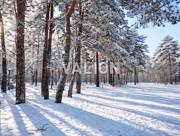 Продажа 2-к квартиры 73 кв. Винграновского 2., ЖК Вудстория .