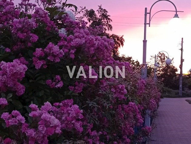 Продажа 1-комнатной квартиры на ул. Алимпия Галика (Малоземельная) 75б, ЖК Ривьера