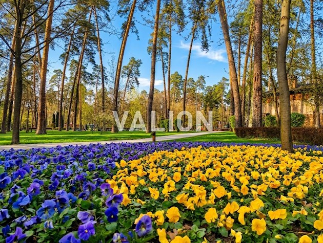 Продажа: 2-комнатная квартира 73 м2, ул. Винграновского 2, ЖК Вудстория