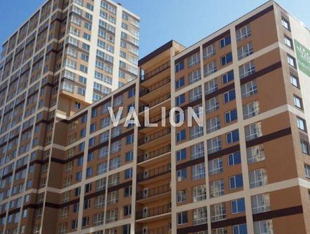 Продажа 1-к квартиры просп. Европейского Союза 41д