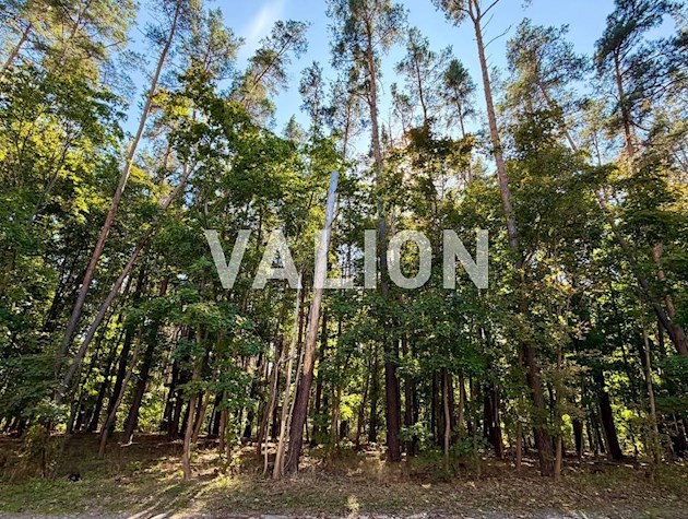 Без %. 1-кімнатна квартира в ЖК Forest Park, 41 м² – соснова магія лісу в межах Києва